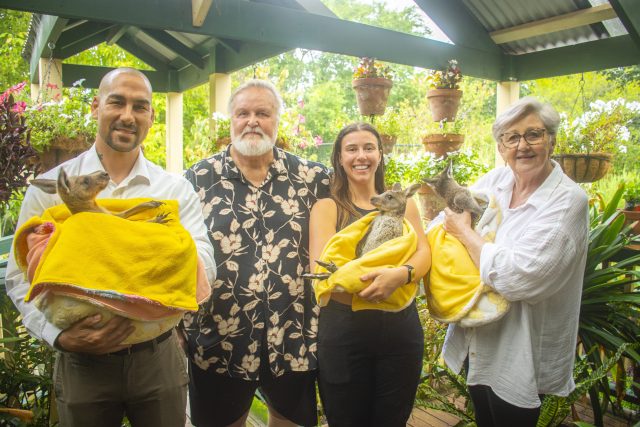 GoodWe and Six Star, power wildlife rescue with donated solar system